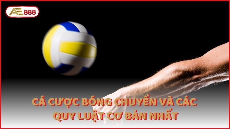 Ca Cuoc Bong Chuyen Va Cac Quy Luat Co Ban Nhat