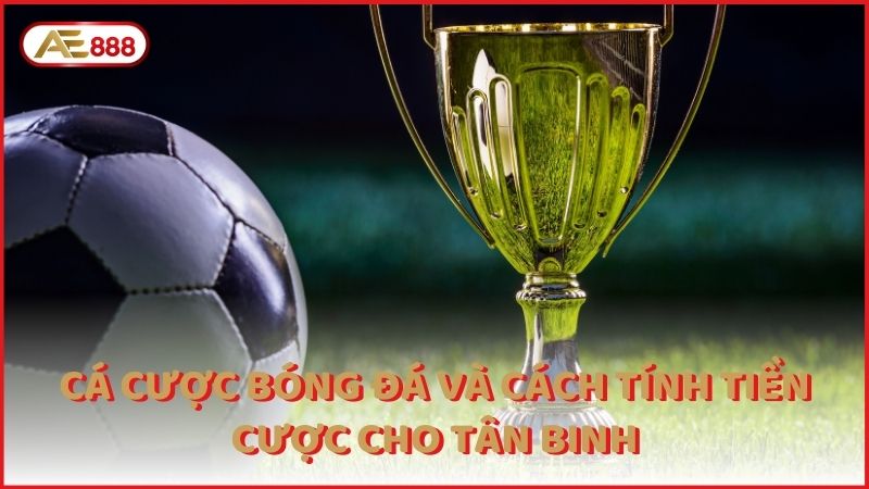 Ca Cuoc Bong Da Va Cach Tinh Tien Cuoc Cho Tan Binh