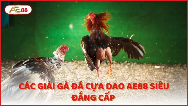 Cac Giai Ga Da Cua Dao Ae88 Sieu Dang Cap