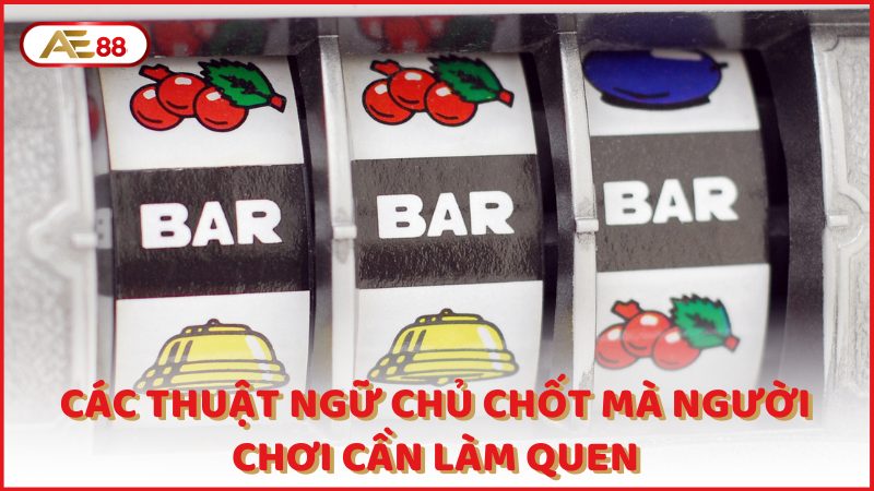 Cac Thuat Ngu Chu Chot Ma Nguoi Choi Can Lam Quen