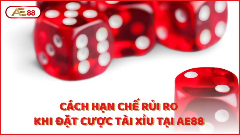 Cach Han Che Rui Ro Khi Dat Cuoc Tai Xiu Tai Ae88