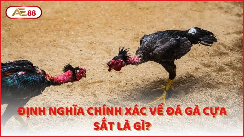 Dinh Nghia Chinh Xac Ve Da Ga Cua Sat La Gi (1)