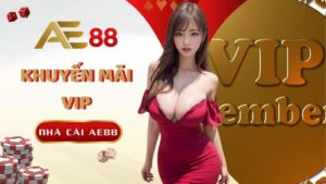 Khuyen Mai Vip Nhan Thuong Cao Cung Dac Quyen Rieng